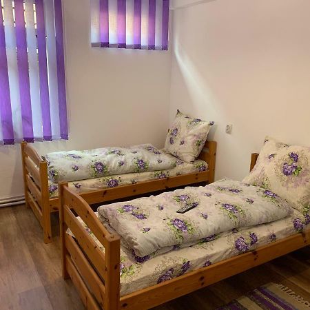 Pensiunea Casa Maria Cluj-Napoca Eksteriør billede