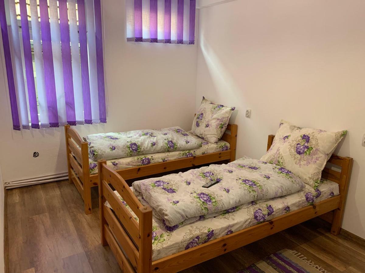 Pensiunea Casa Maria Cluj-Napoca Eksteriør billede